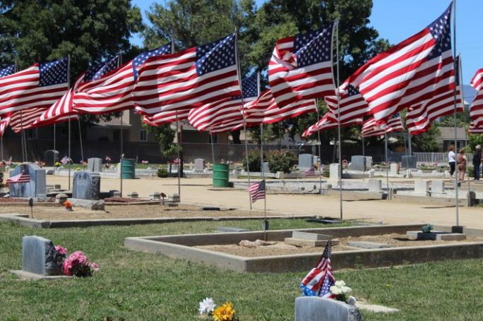 American flags waving in a cemetery.